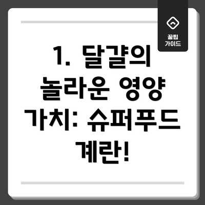 1. 달걀의 놀라운 영양 가치: 슈퍼푸드 계란!