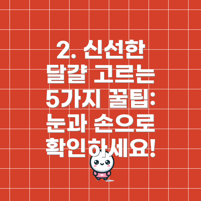 2. 신선한 달걀 고르는 5가지 꿀팁: 눈과 손으로 확인하세요!