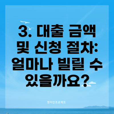 3. 대출 금액 및 신청 절차: 얼마나 빌릴 수 있을까요?