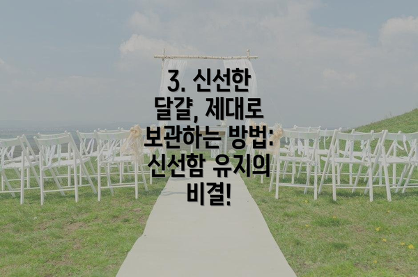 3. 신선한 달걀, 제대로 보관하는 방법: 신선함 유지의 비결!