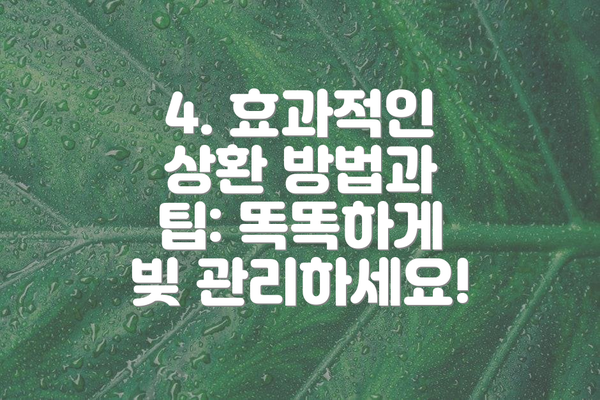 4. 효과적인 상환 방법과 팁: 똑똑하게 빚 관리하세요!