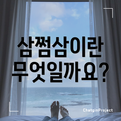 삼쩜삼이란 무엇일까요?