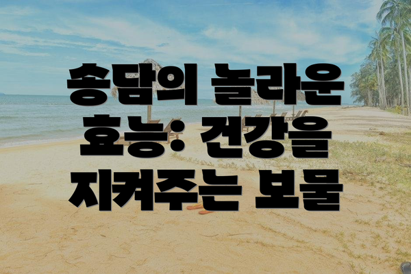 송담의 놀라운 효능: 건강을 지켜주는 보물