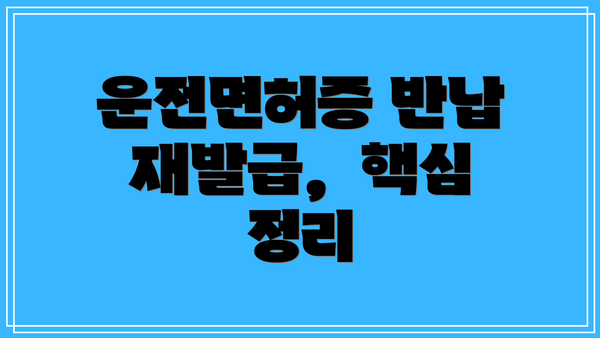 운전면허증 반납 재발급,  핵심 정리