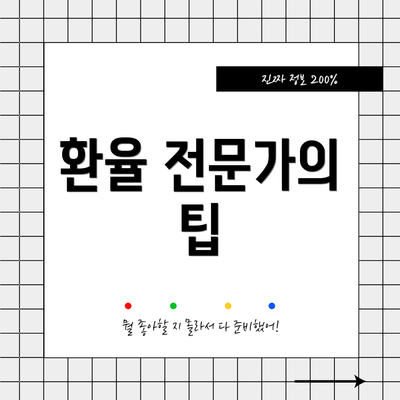 환율 전문가의 팁