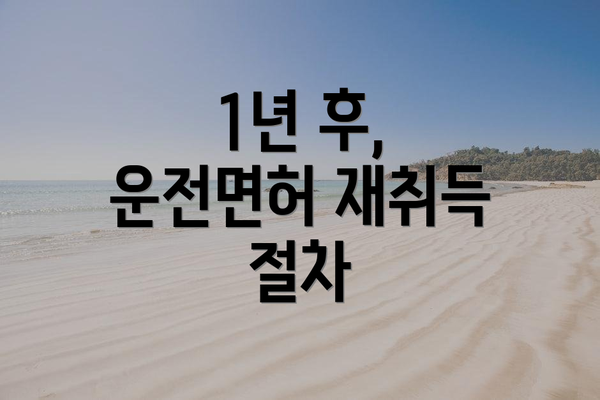 1년 후, 운전면허 재취득 절차