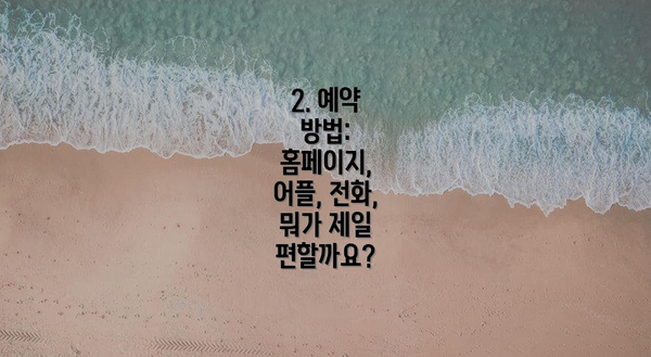 2. 예약 방법: 홈페이지, 어플, 전화, 뭐가 제일 편할까요?