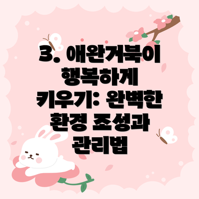 3. 애완거북이 행복하게 키우기: 완벽한 환경 조성과 관리법