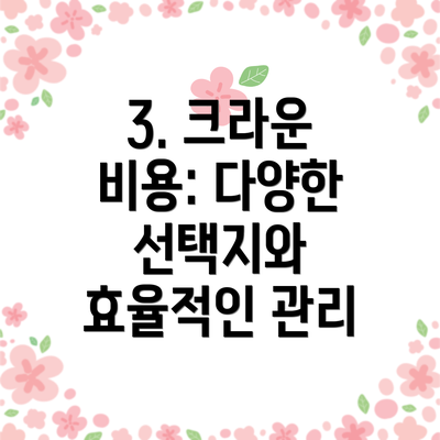 3. 크라운 비용: 다양한 선택지와 효율적인 관리