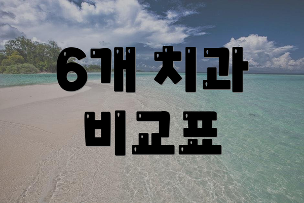 6개 치과 비교표