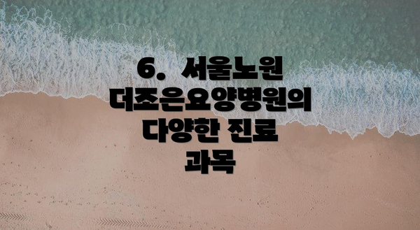 6.  서울노원더조은요양병원의 다양한 진료 과목