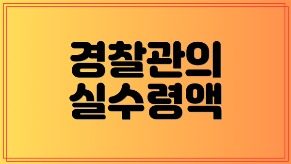 경찰관의 실수령액