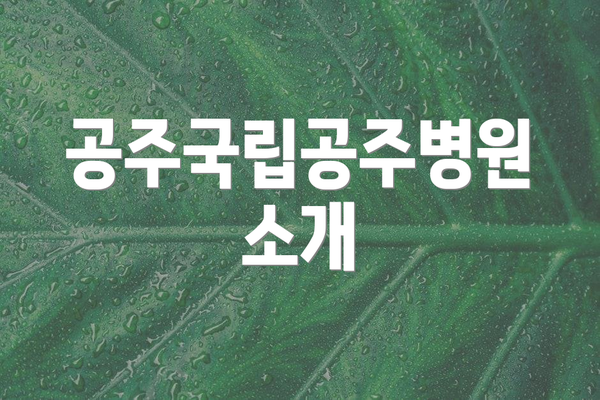 공주국립공주병원 소개