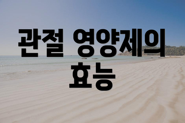 관절 영양제의 효능