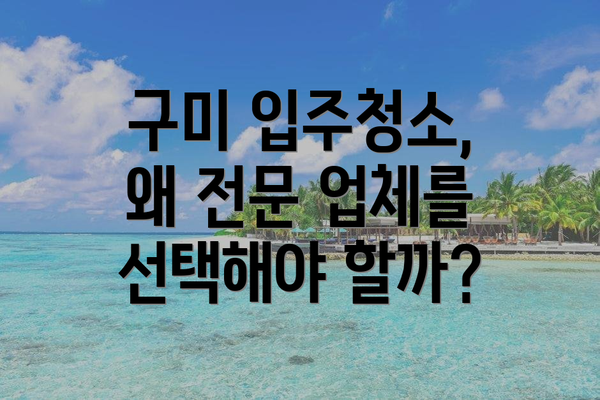 구미 입주청소, 왜 전문 업체를 선택해야 할까?