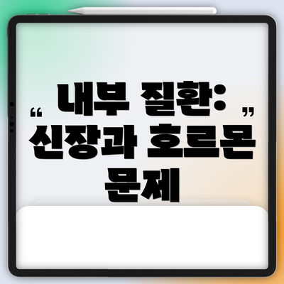내부 질환: 신장과 호르몬 문제