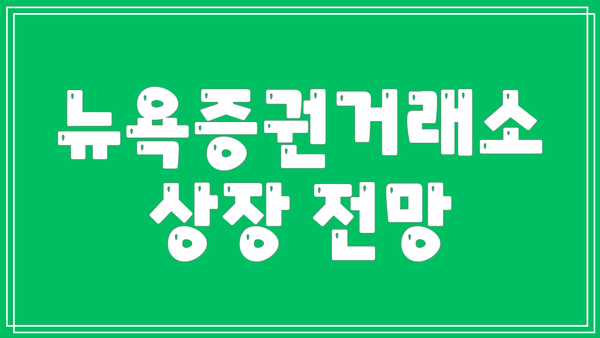 뉴욕증권거래소 상장 전망