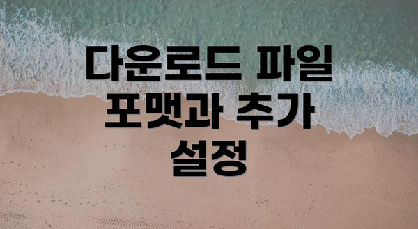 다운로드 파일 포맷과 추가 설정