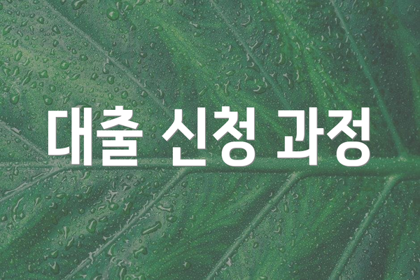 대출 신청 과정