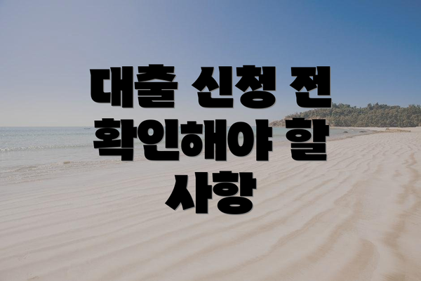 대출 신청 전 확인해야 할 사항