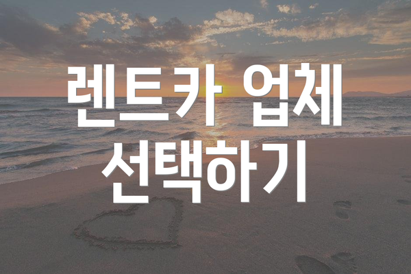 렌트카 업체 선택하기