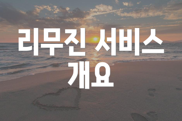 리무진 서비스 개요