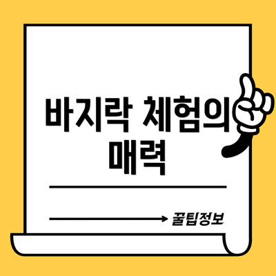 바지락 체험의 매력