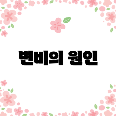 변비의 원인