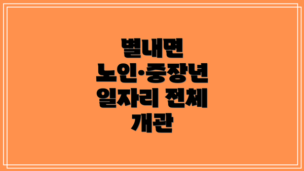 별내면 노인·중장년 일자리 전체 개관