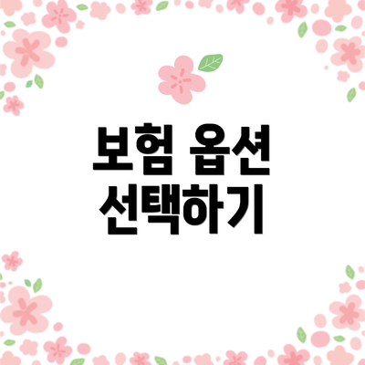 보험 옵션 선택하기