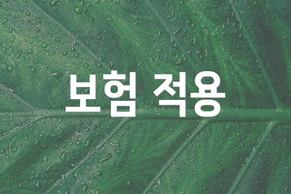 보험 적용