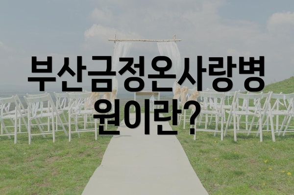 부산금정온사랑병원이란?