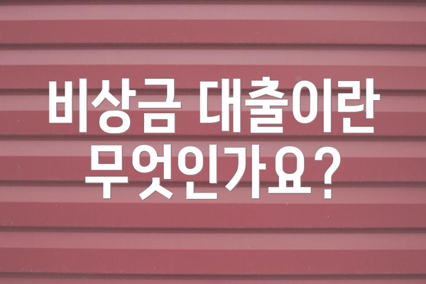 비상금 대출이란 무엇인가요?