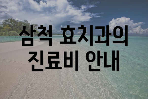 삼척 효치과의 진료비 안내