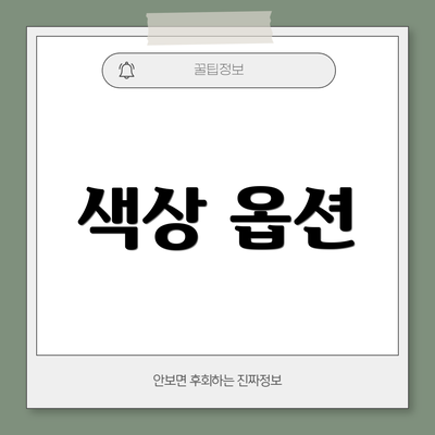 색상 옵션