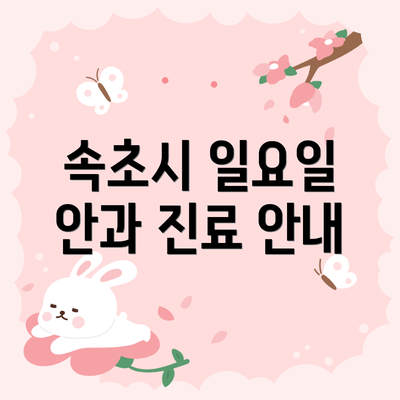 속초시 일요일 안과 진료 안내