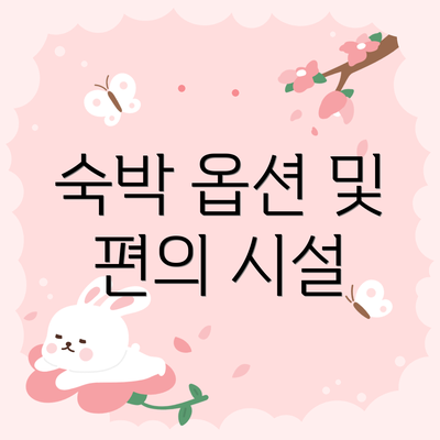 숙박 옵션 및 편의 시설