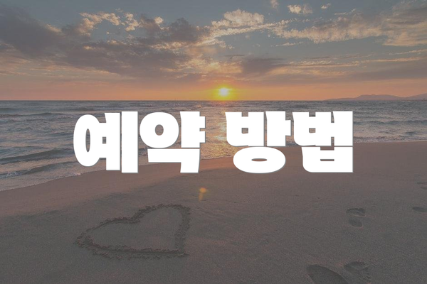 예약 방법
