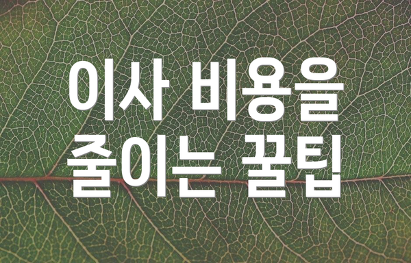 이사 비용을 줄이는 꿀팁