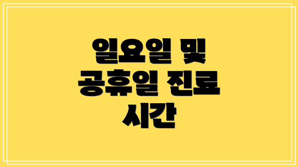 일요일 및 공휴일 진료 시간