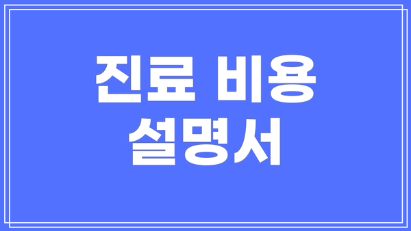 진료 비용 설명서