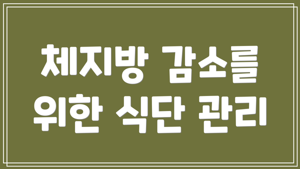 체지방 감소를 위한 식단 관리