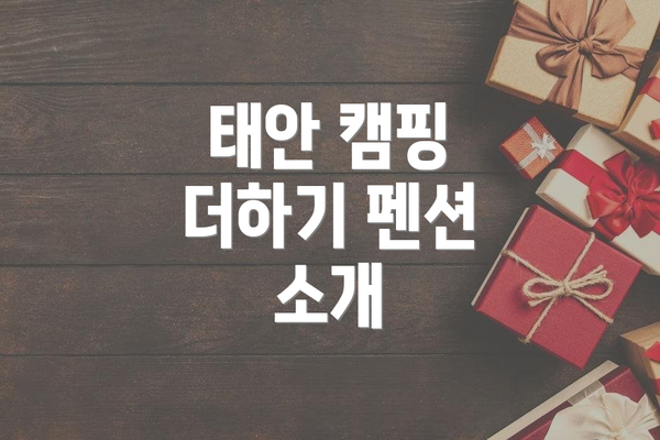 태안 캠핑 더하기 펜션 소개