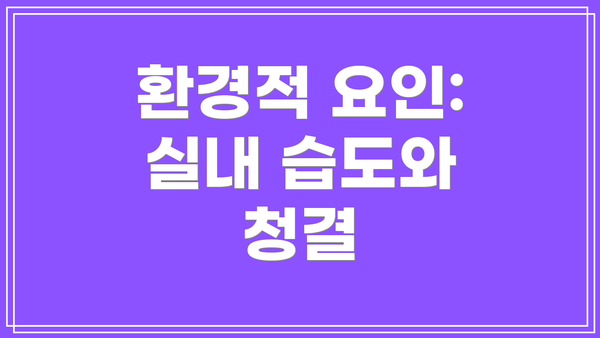 환경적 요인: 실내 습도와 청결