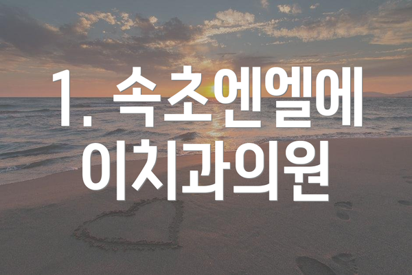 1. 속초엔엘에이치과의원