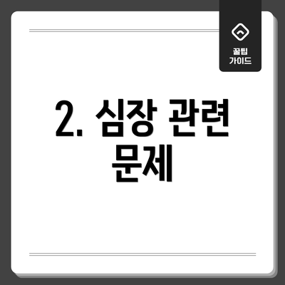 2. 심장 관련 문제
