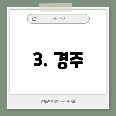 3. 경주