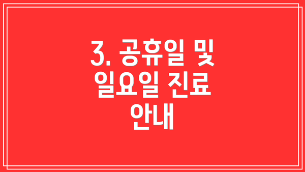 3. 공휴일 및 일요일 진료 안내