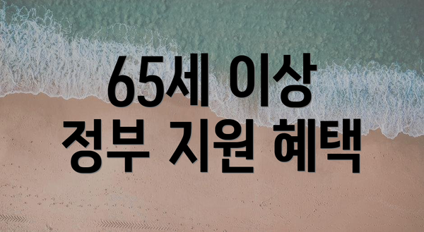 65세 이상 정부 지원 혜택