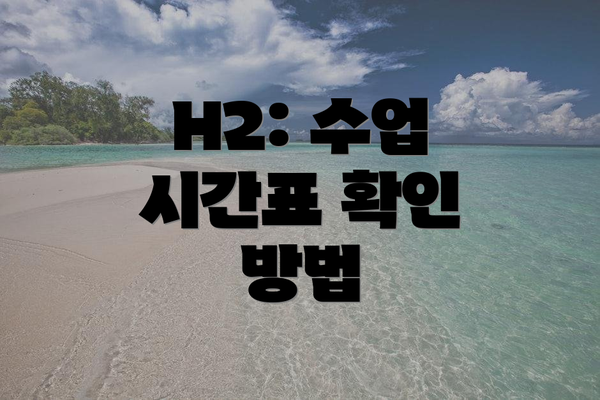 H2: 수업 시간표 확인 방법